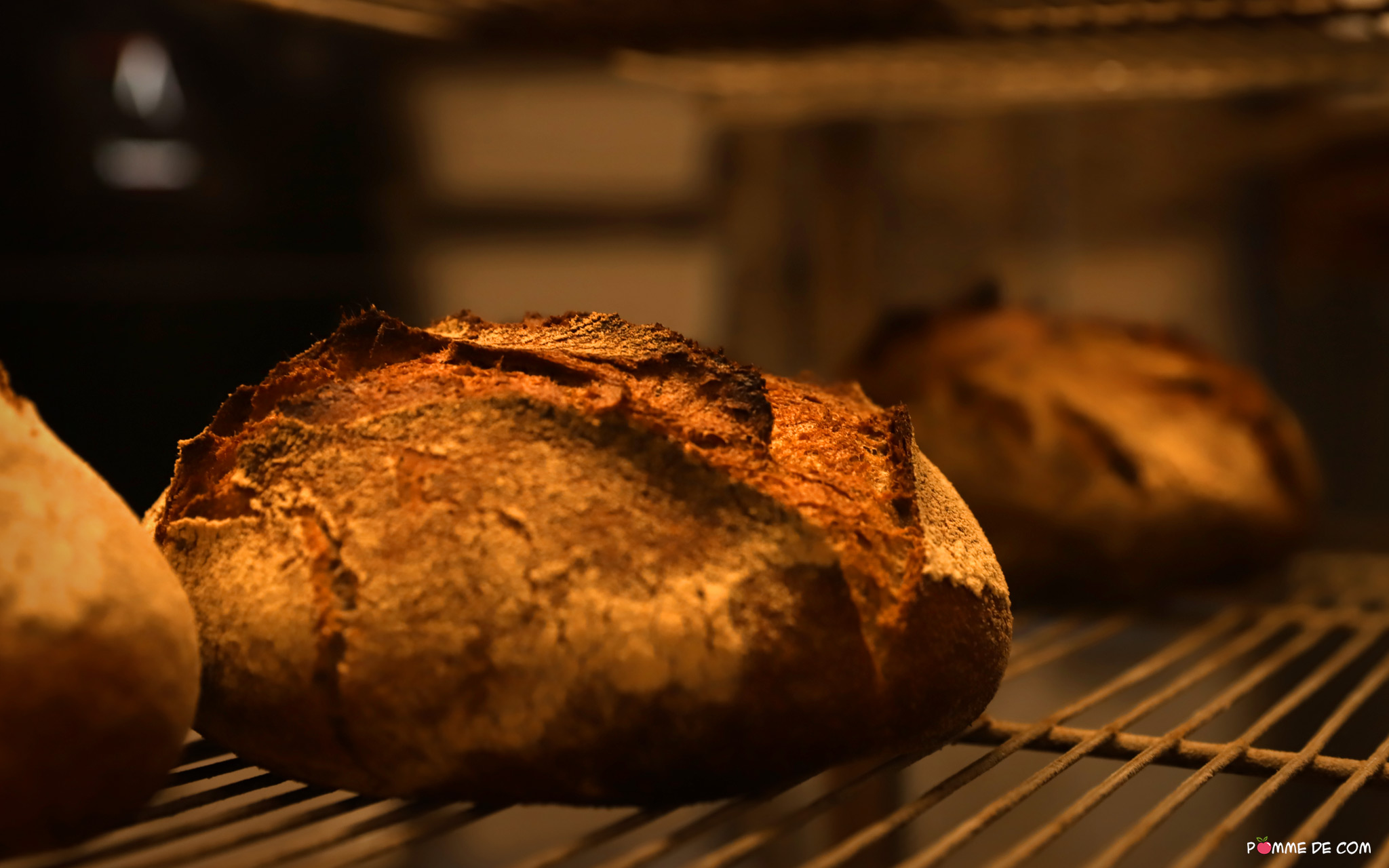 Producteur BIO à Ouézy près de mézidon Canon